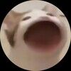 filno